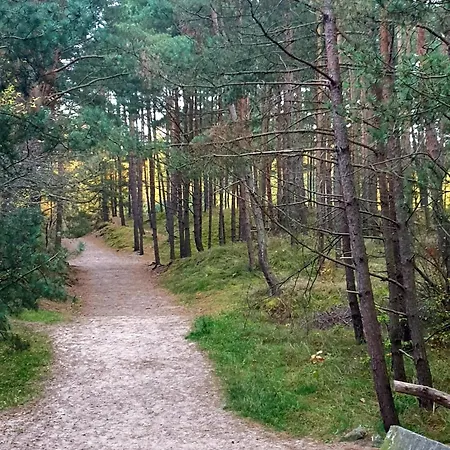 Baltic Line - Nadwiślański świt *