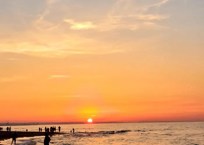 Baltic Line - Nadwislanski Swit