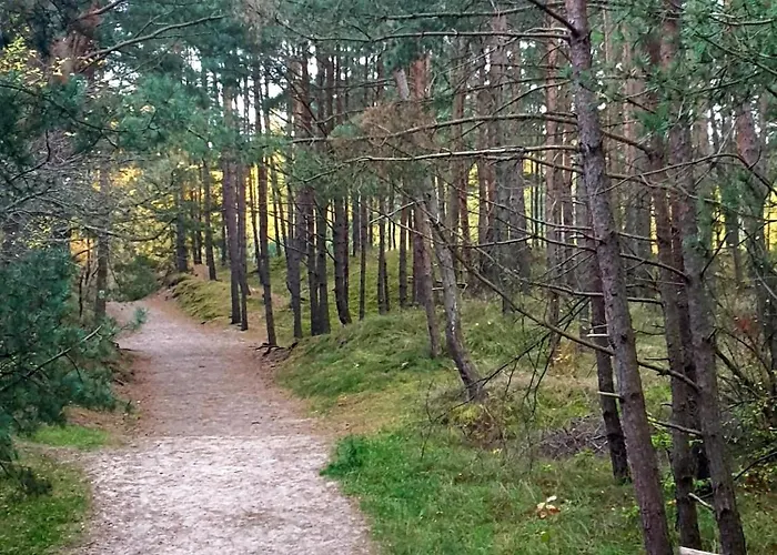 Baltic Line - Nadwislanski Swit *